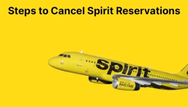 how to cancel a spirit flight steps to cancel spirit reservations